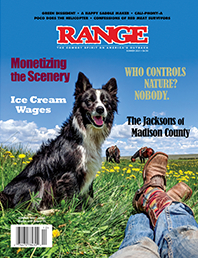 Monetizing the Scenery